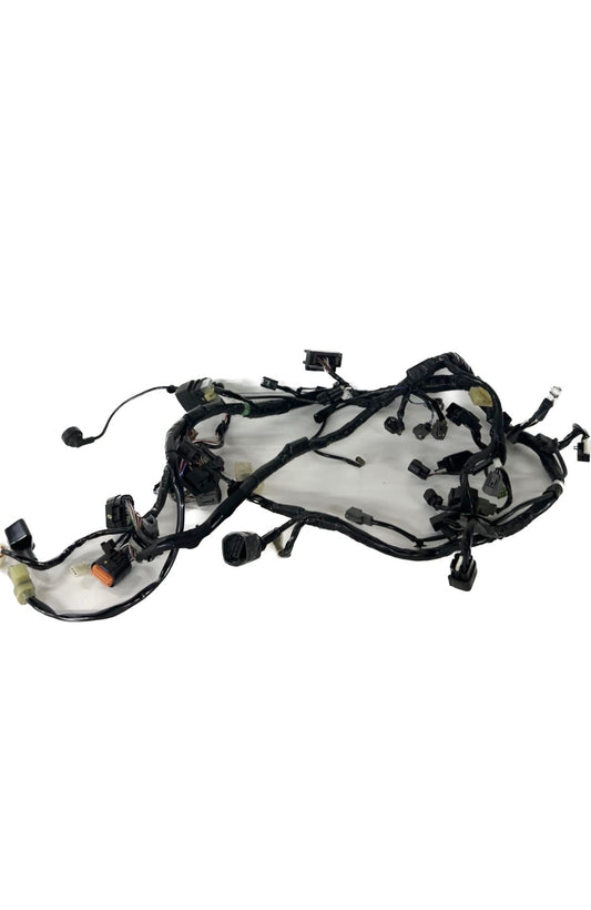 2013 2014 2015 2016 2017 Kawasaki ninja 300 ABS wiring harness 26031-1540 ( 001082 )